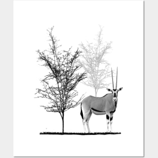 Oryx - Antelope - Trees - Wildlife - Africa Posters and Art